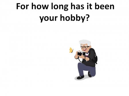 hobby.survey